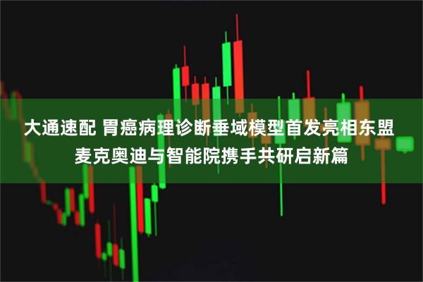 大通速配 胃癌病理诊断垂域模型首发亮相东盟 麦克奥迪与智能院携手共研启新篇