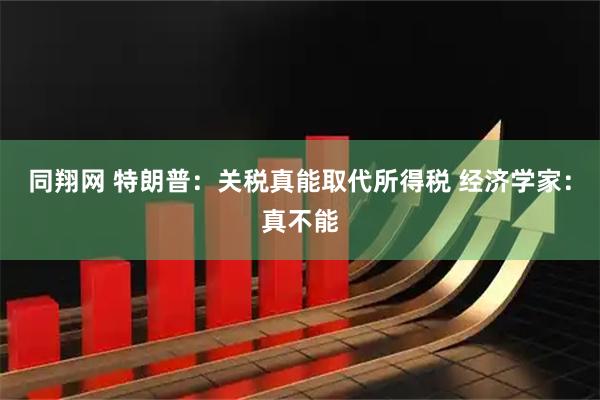 同翔网 特朗普:关税真能取代所得税 经济学家:真不能