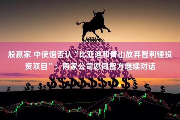 股赢家 中使馆否认“比亚迪和青山放弃智利锂投资项目”:两家公司愿同智方继续对话