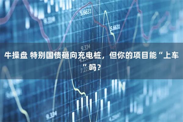 牛操盘 特别国债砸向充电桩，但你的项目能“上车”吗？