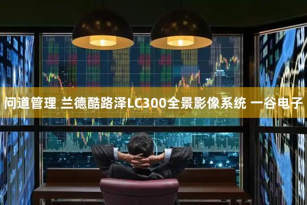 问道管理 兰德酷路泽LC300全景影像系统 一谷电子