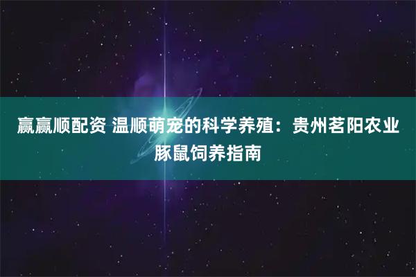 赢赢顺配资 温顺萌宠的科学养殖：贵州茗阳农业豚鼠饲养指南