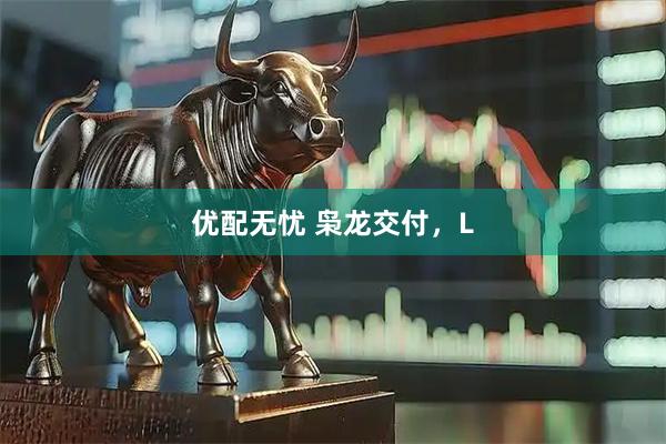 优配无忧 枭龙交付，L